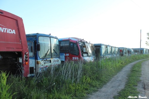 Cementerio Buses