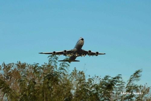 B747-8 DABYT saliendo sobre los arboles