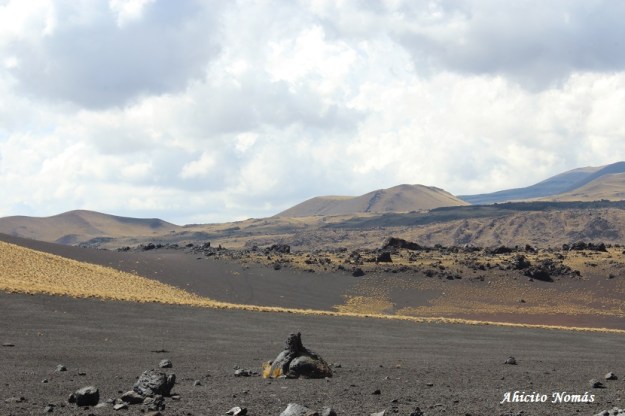 6- Vegetacion entre coladas