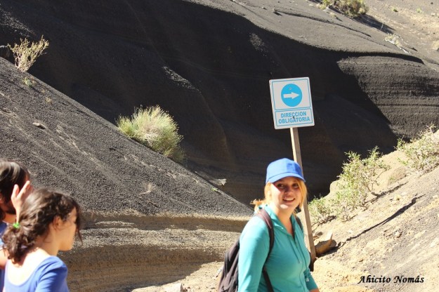 Direccion Obligatoria