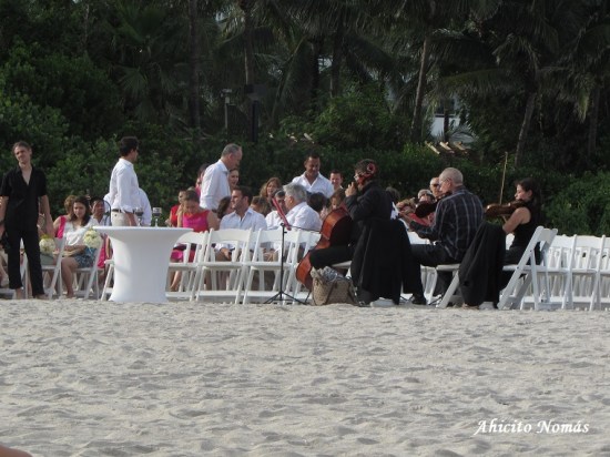 Llegan los invitados