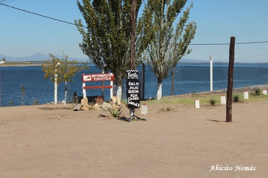 Todo lo que necesitas