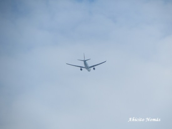 Volando sobre la playa