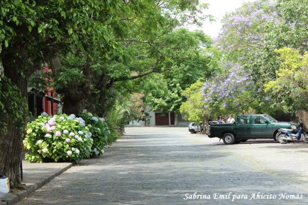 Calle floreada frente a la plaza
