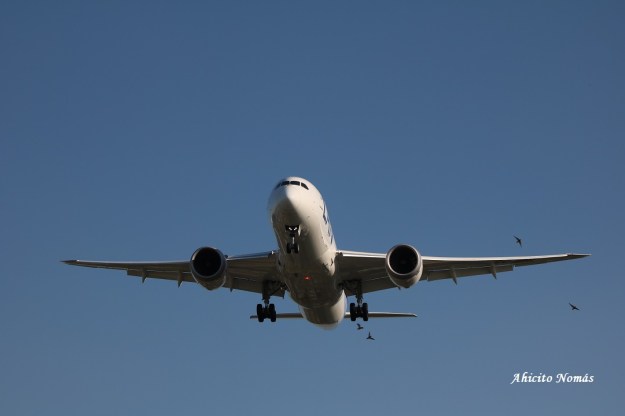 Stones Aterrizando 6