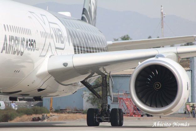 10 - Tren trasero izquierdo