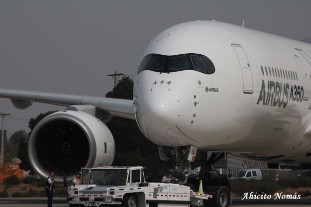 11 - Acercamiento nariz lateral izq