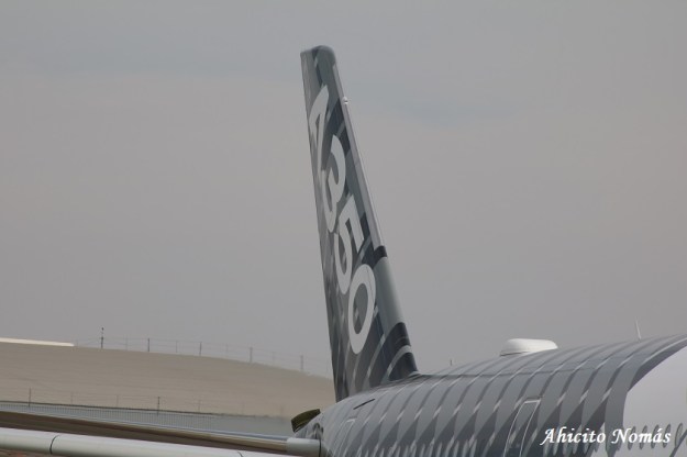 13 - Estabilizador vertical