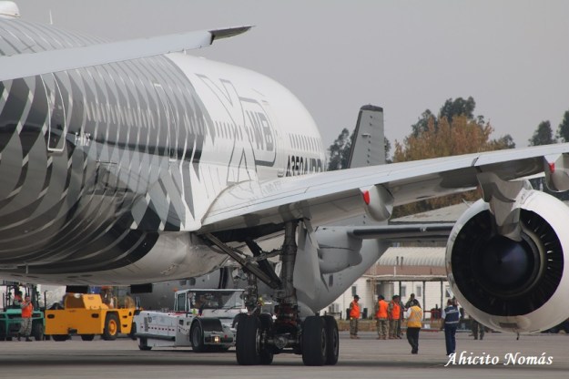 17 - Primer plano lateral der desde atras