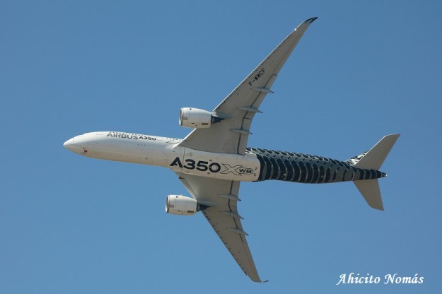 8 - Muestra la panza