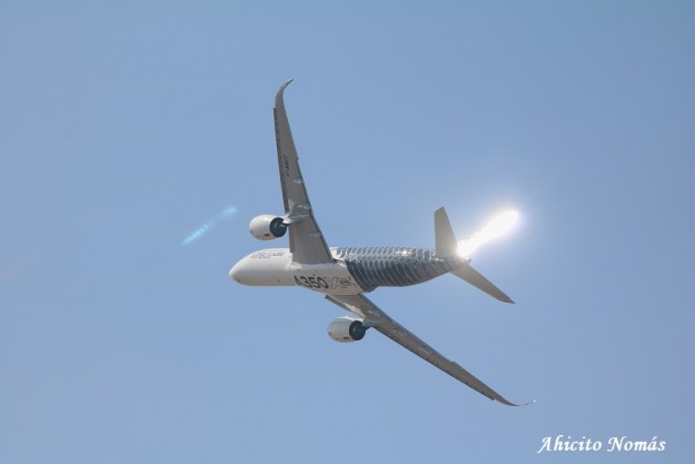 9 - Le brilla la cola