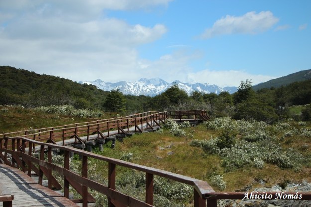 Senderos en el parque