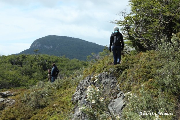 Buscando la senda al rio