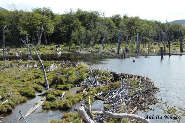 El dique del otro lado