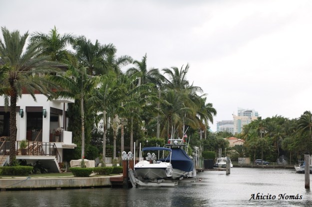 Yates en el fondo de casa