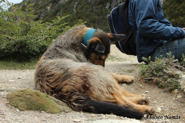 Al descanso se suma un amigo