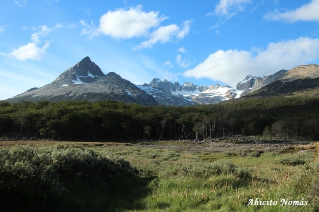 Cielo despejado sobre las montañas
