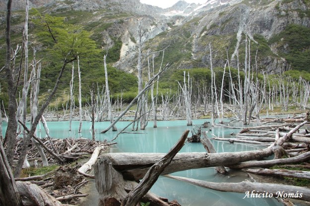 Paisaje de película