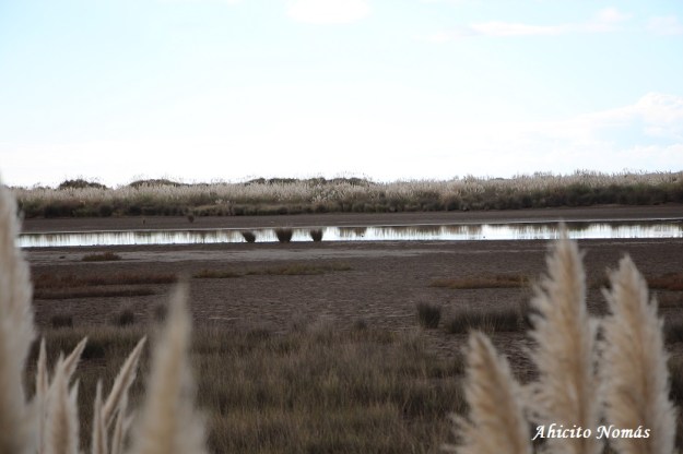 Vista desde el mirador