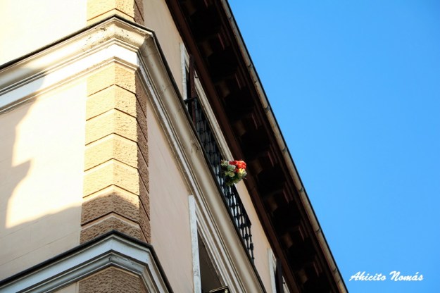 flores-en-el-balcon