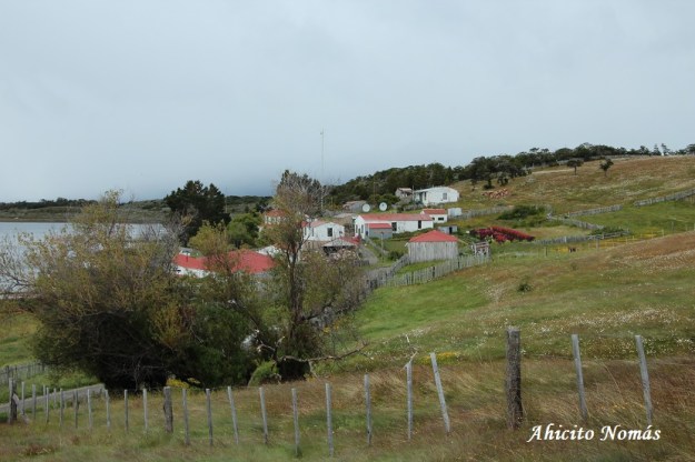 llegando-a-la-estancia