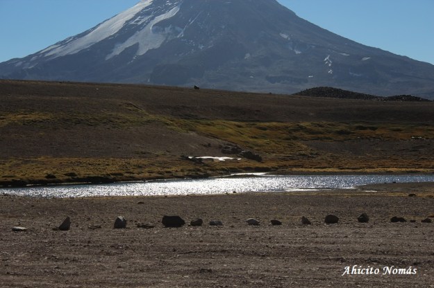 brillos-de-vuelo-delante-del-maipo