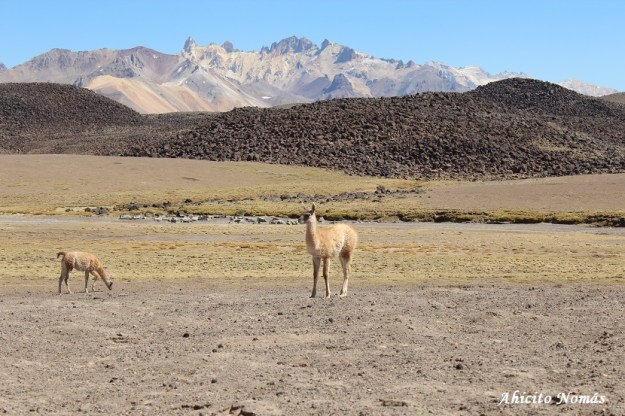 paisaje-con-inquilinos