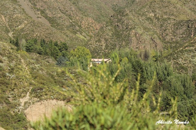 hotel-detras-de-la-vegetacion