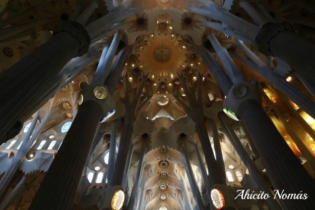 columnas-como-arboles