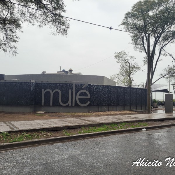 El Café Mulé, de&nbsp;Chascomús.
